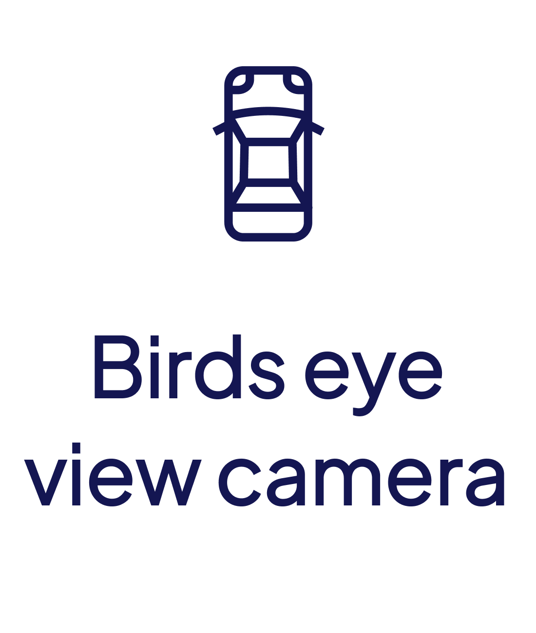 birds_eye_camera